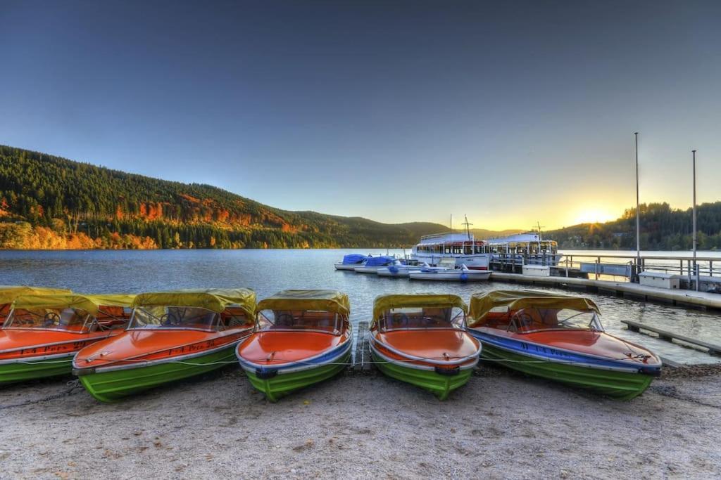 Sieben Tannen Titisee + Hochschwarzwald Card Apartment Ngoại thất bức ảnh