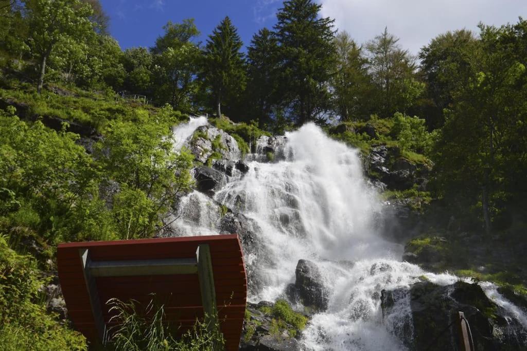 Sieben Tannen Titisee + Hochschwarzwald Card Apartment Ngoại thất bức ảnh