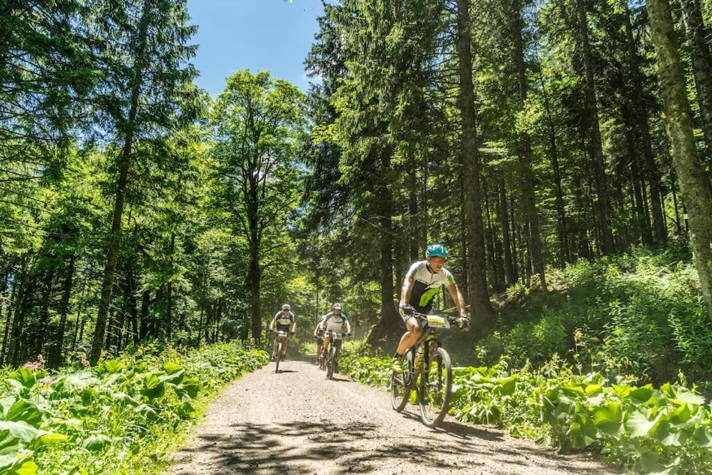 Sieben Tannen Titisee + Hochschwarzwald Card Apartment Ngoại thất bức ảnh