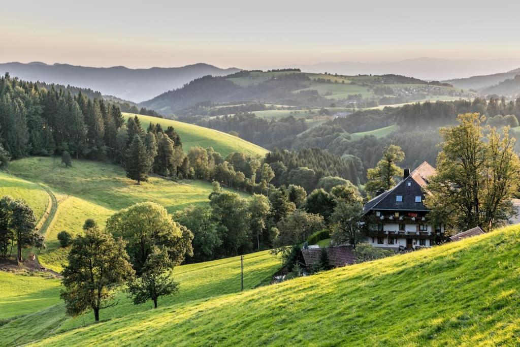 Sieben Tannen Titisee + Hochschwarzwald Card Apartment Ngoại thất bức ảnh