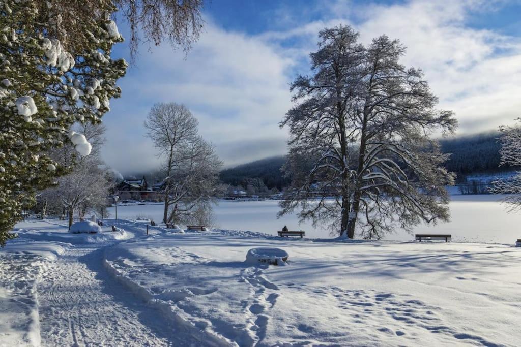 Sieben Tannen Titisee + Hochschwarzwald Card Apartment Ngoại thất bức ảnh
