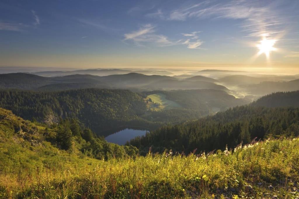 Sieben Tannen Titisee + Hochschwarzwald Card Apartment Ngoại thất bức ảnh